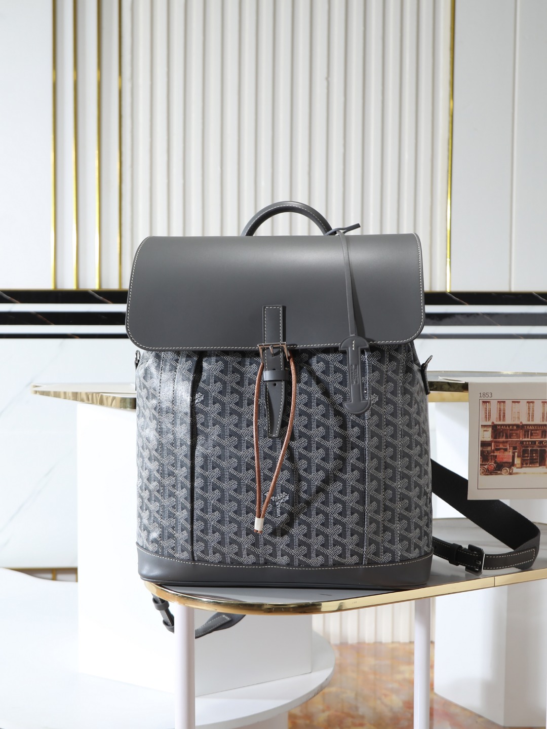 GOYARD 戈雅 双肩 Cisalpin (Canvas and Leather) — Backpack-F0-ALPIN2MMLTY