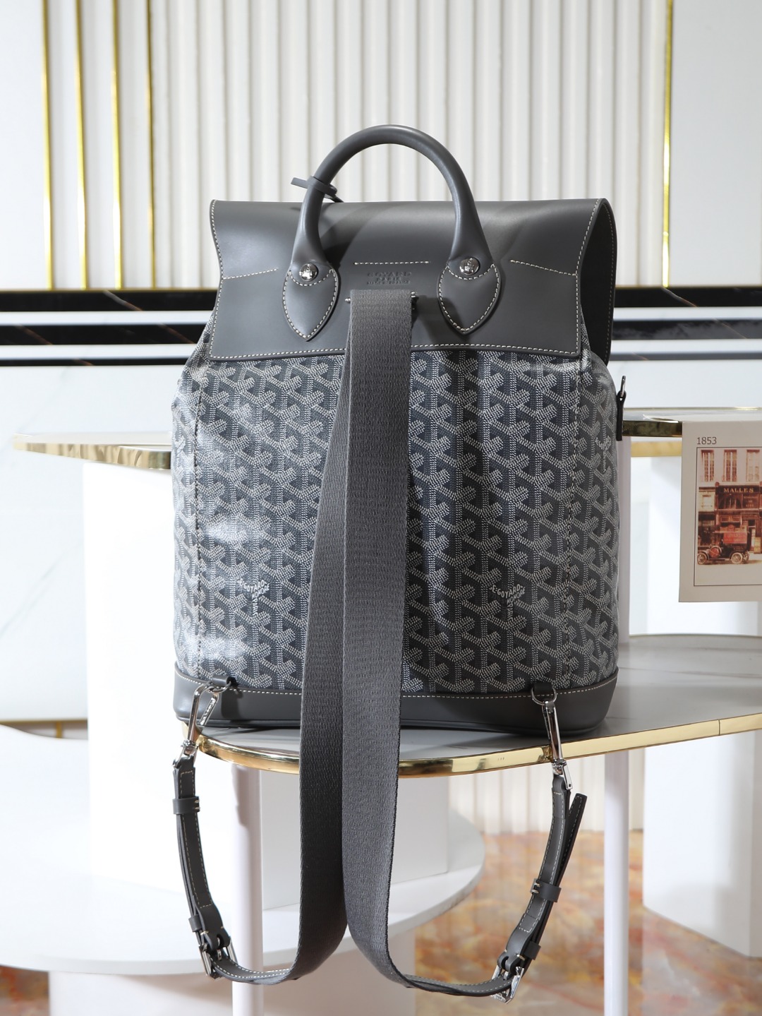 GOYARD 戈雅 双肩 Cisalpin (Canvas and Leather) — Backpack-F0-ALPIN2MMLTY