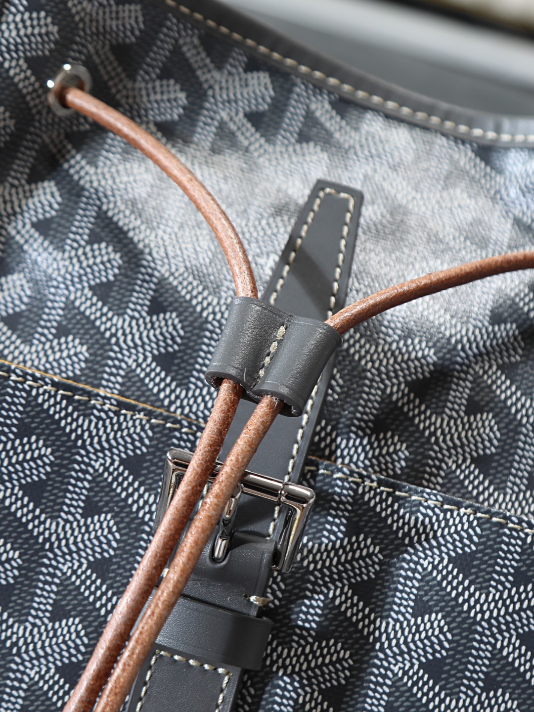 GOYARD 戈雅 双肩 Cisalpin (Canvas and Leather) — Backpack-F0-ALPIN2MMLTY