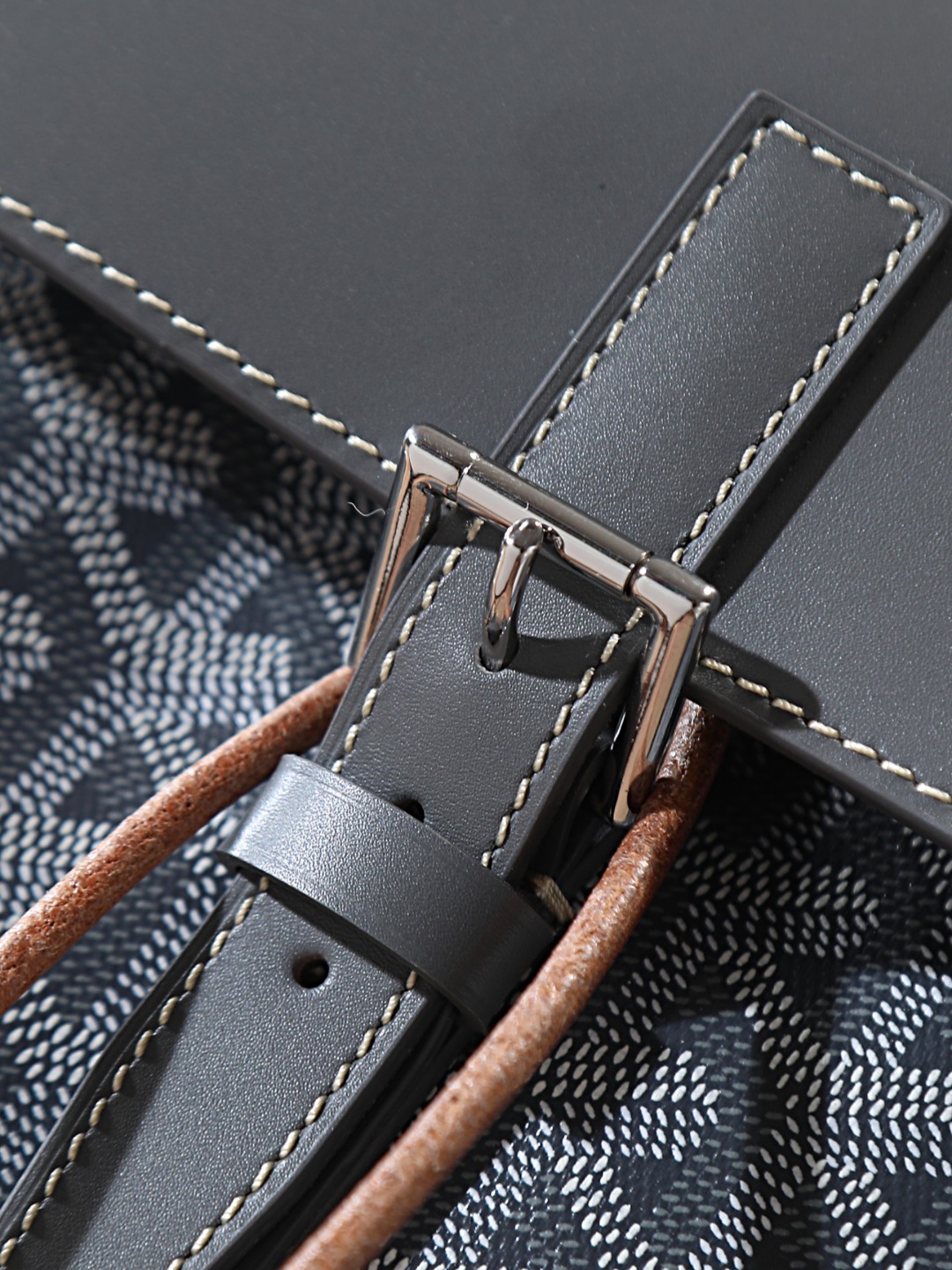 GOYARD 戈雅 双肩 Cisalpin (Canvas and Leather) — Backpack-F0-ALPIN2MMLTY