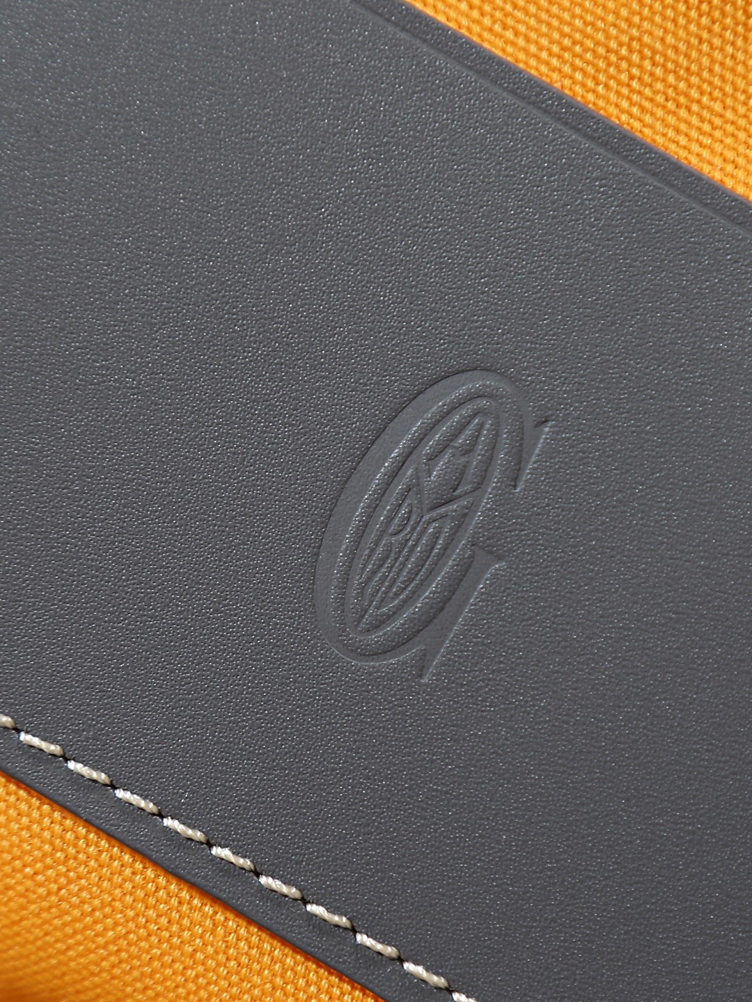 GOYARD 戈雅 双肩 Cisalpin (Canvas and Leather) — Backpack-F0-ALPIN2MMLTY