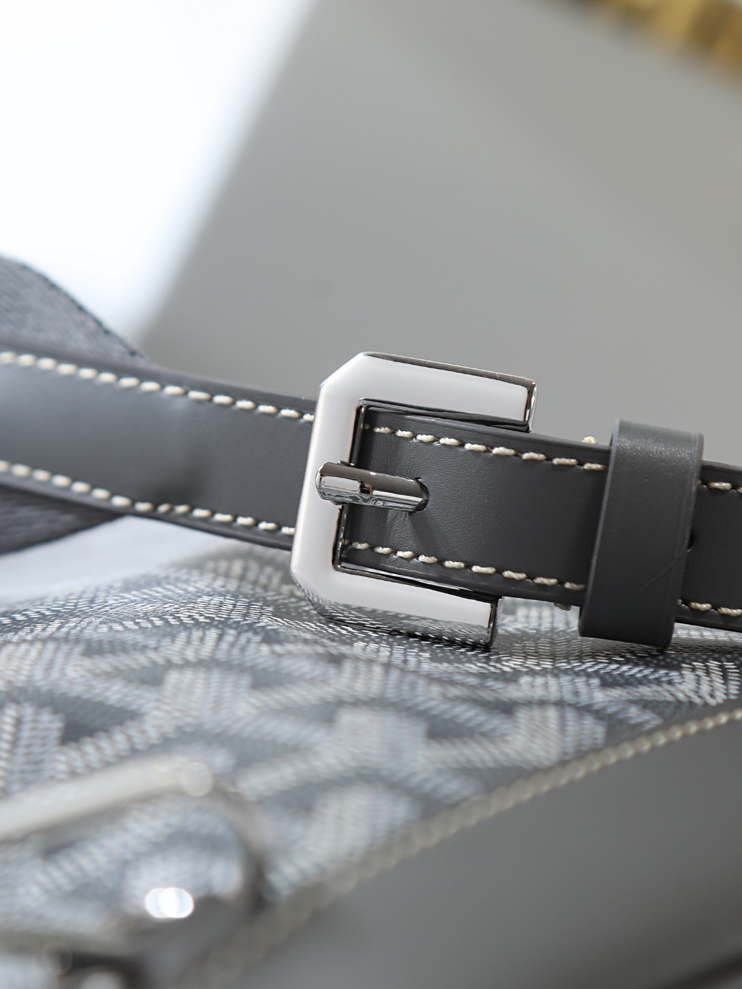 GOYARD 戈雅 双肩 Cisalpin (Canvas and Leather) — Backpack-F0-ALPIN2MMLTY