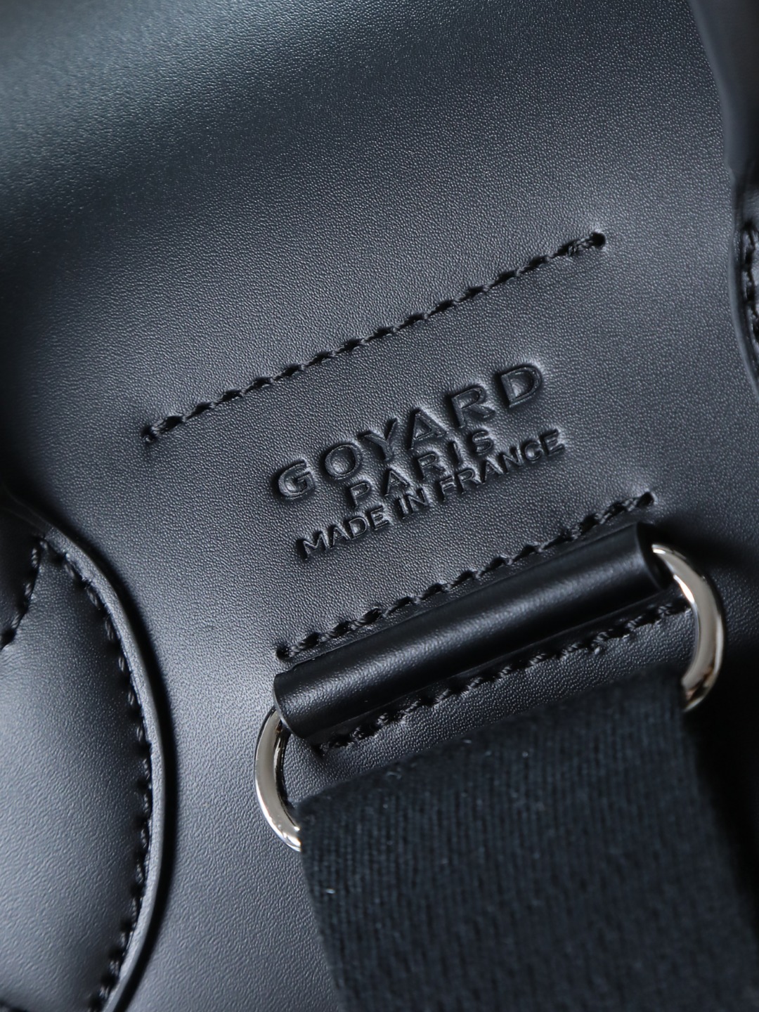 GOYARD 戈雅 双肩 Cisalpin (Canvas and Leather) — Backpack-F0-ALPIN2MMLTY