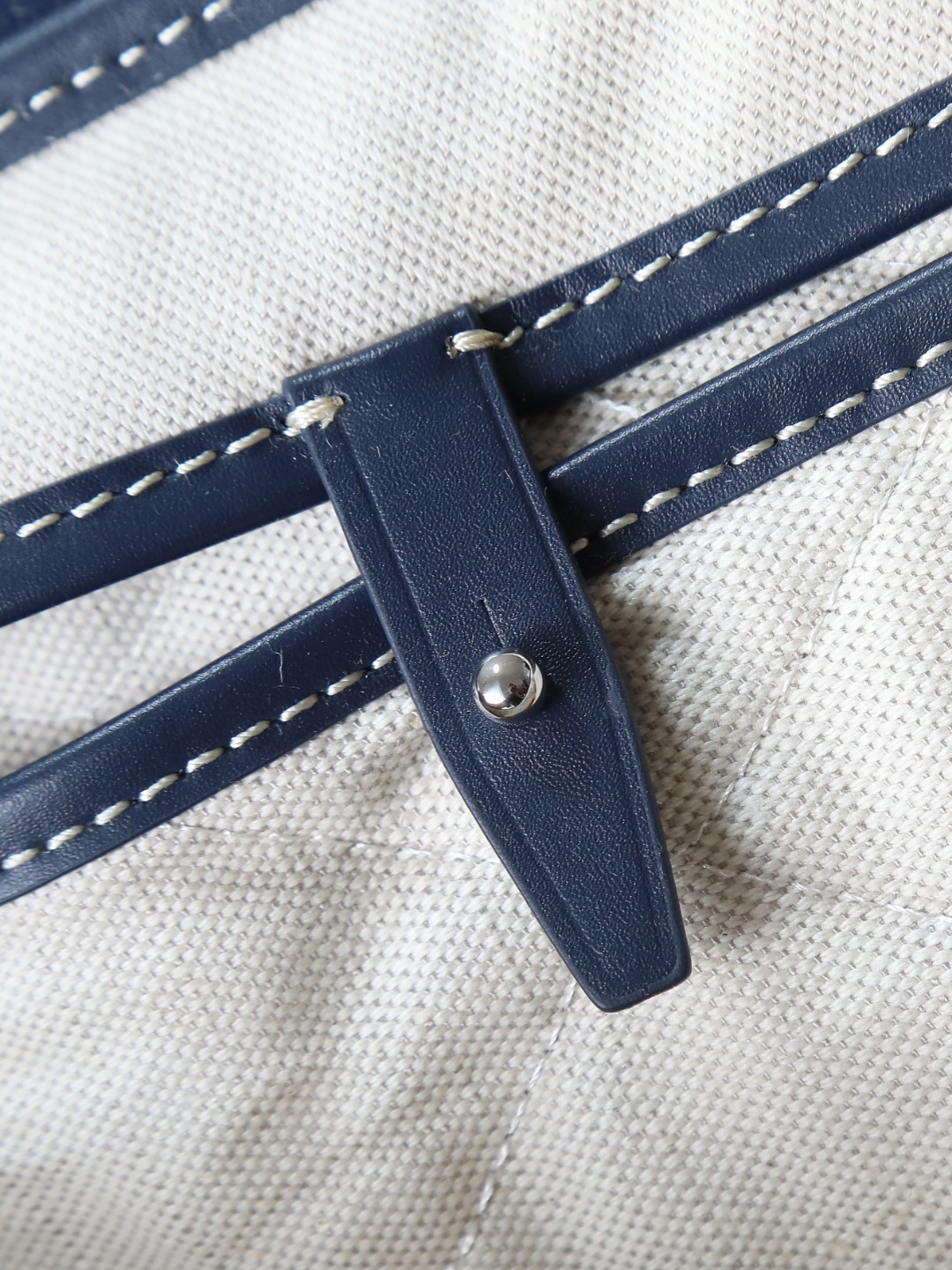 GOYARD 戈雅 双肩 Cisalpin (Canvas and Leather) — Backpack-F0-ALPIN2MMLTY