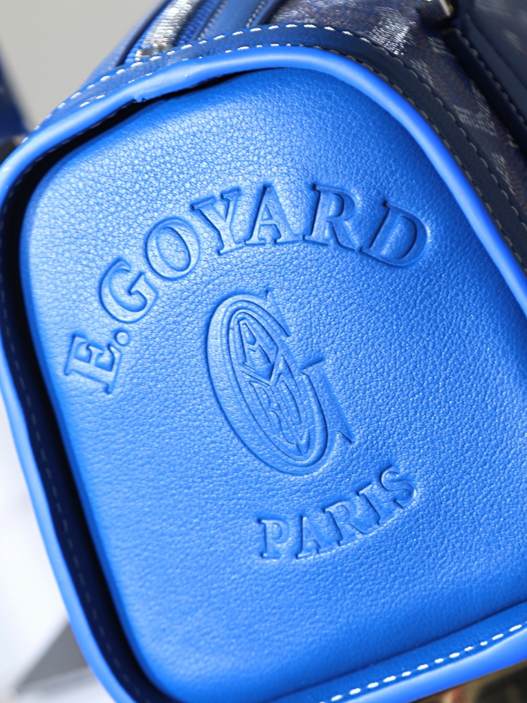 GOYARD 戈雅法棍 Bonbonniere (Canvas and Leather) — Baguette Bag-F0-BONBONPMLTY