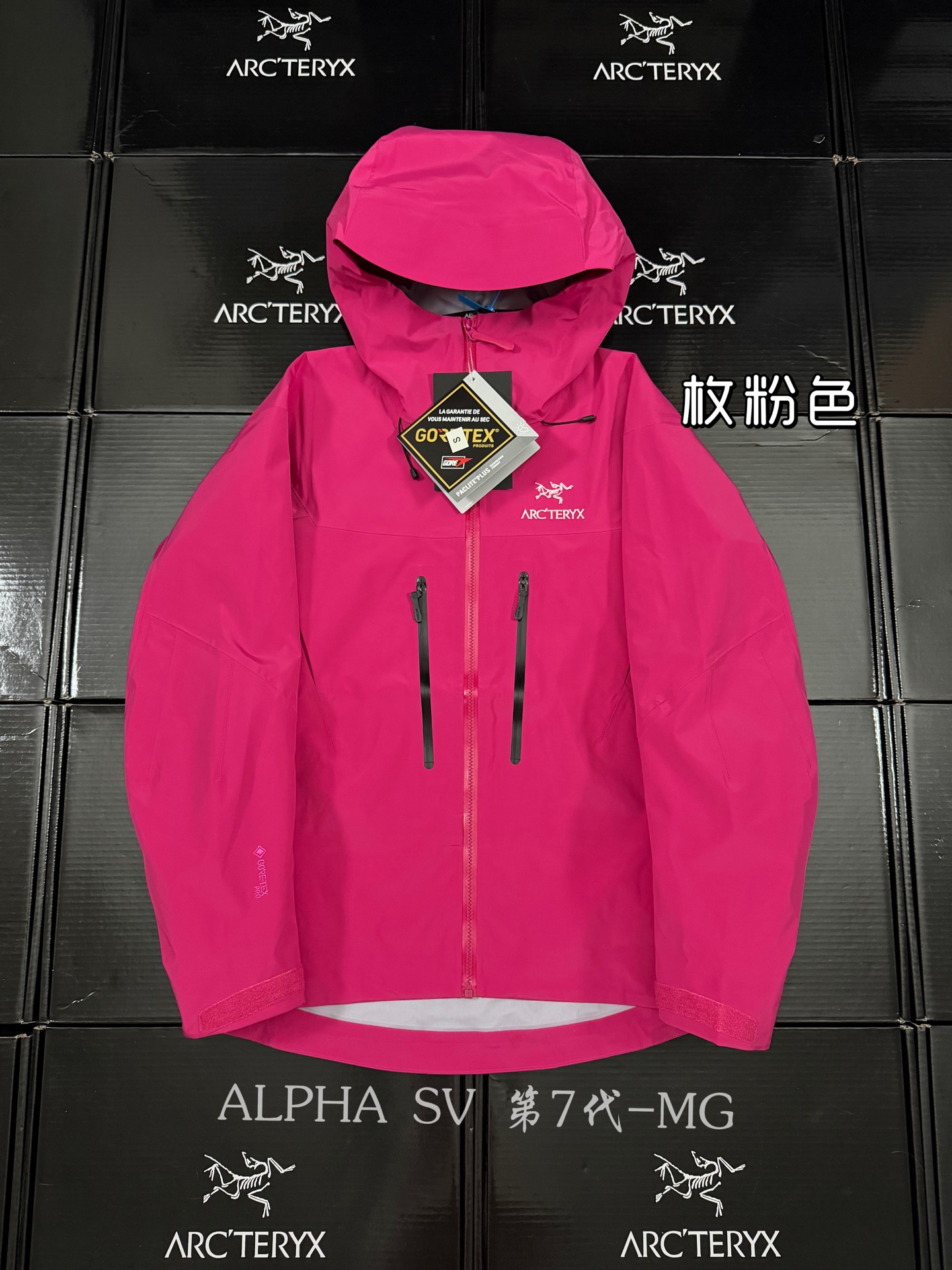 G13 台州 第7代 Arcteryx 始祖鸟 Alpha SV GORE-TEX Pro  冲锋 硬壳 防风防水 夹克 长袖  男款B5 玫红 X000007555