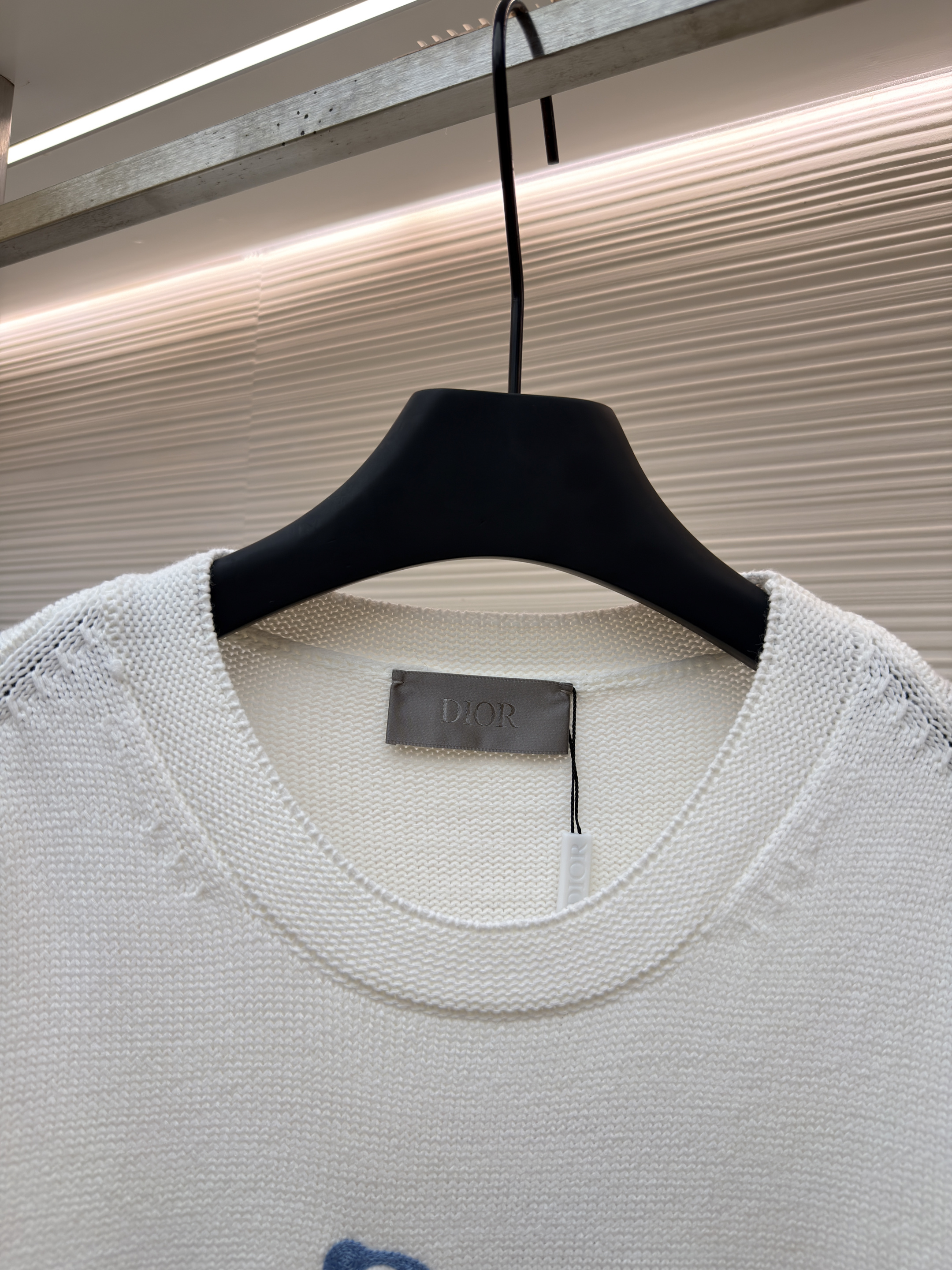DIOR 迪奥 字母刺绣针织毛衣 针织衫 外套 长袖 白色 蓝色 B0