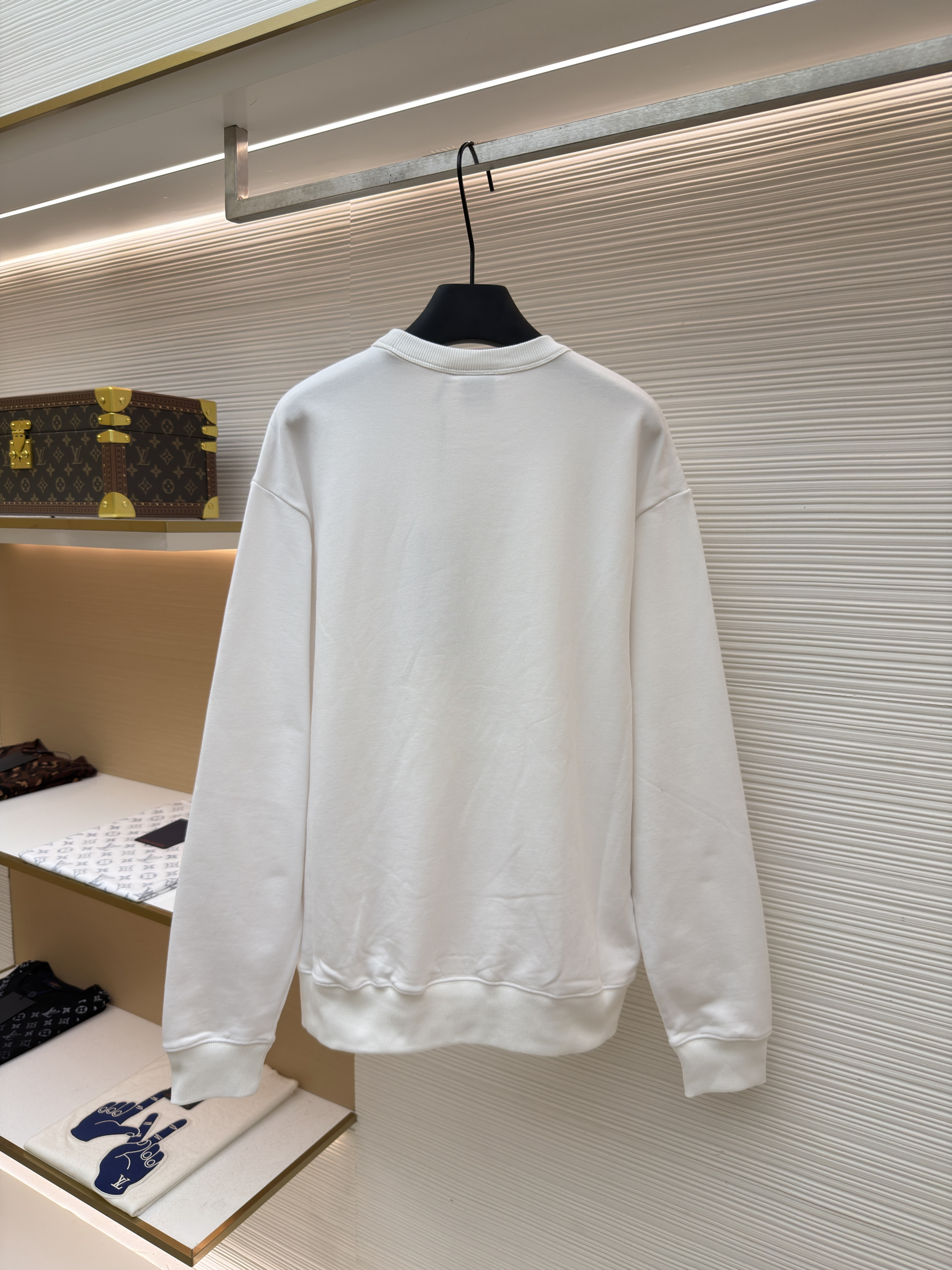 DIOR 迪奥 蜂鸟图案套头卫衣 圆领 秋冬 外套 长袖 白色 B0 