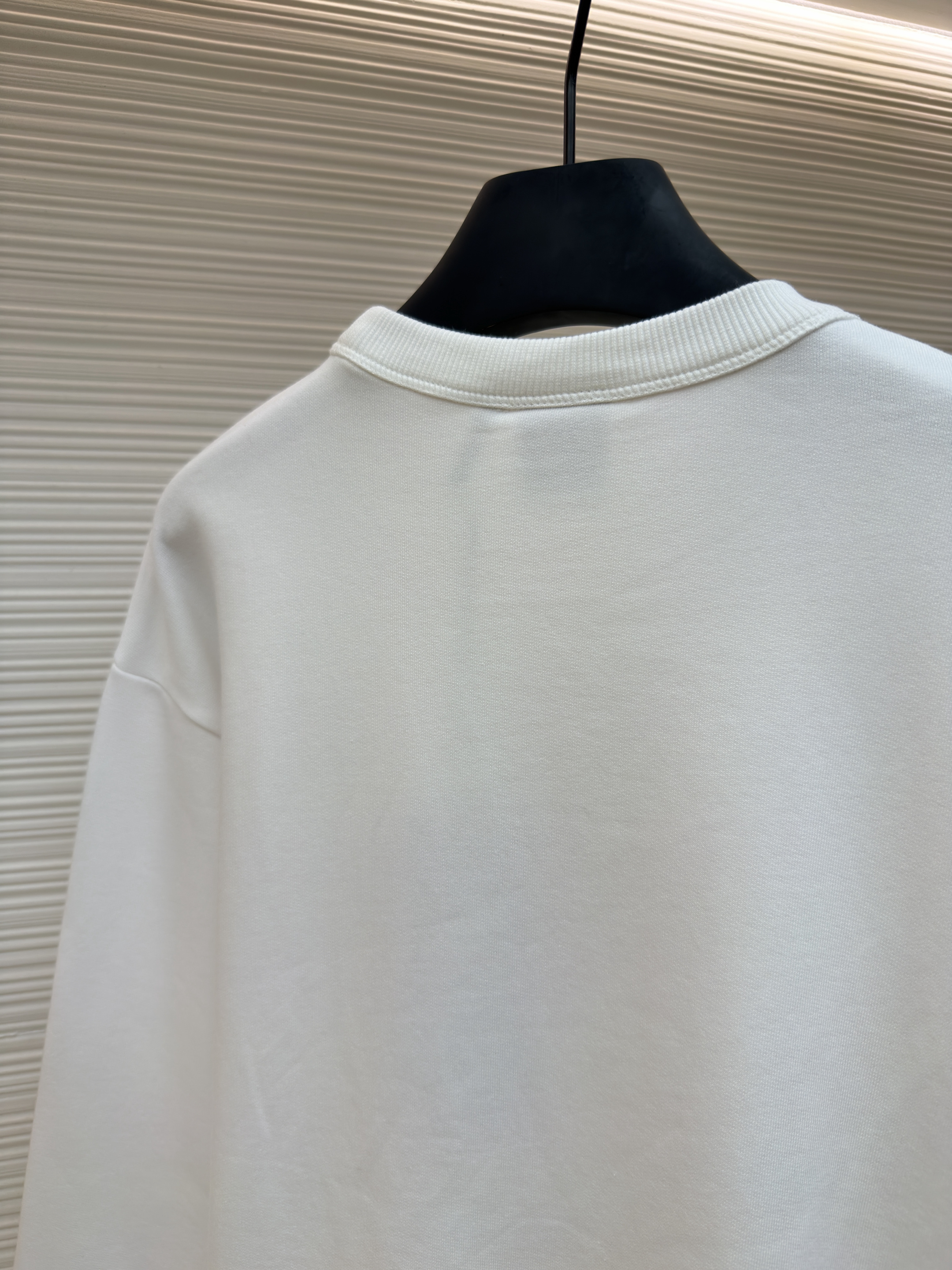 DIOR 迪奥 蜂鸟图案套头卫衣 圆领 秋冬 外套 长袖 白色 B0 
