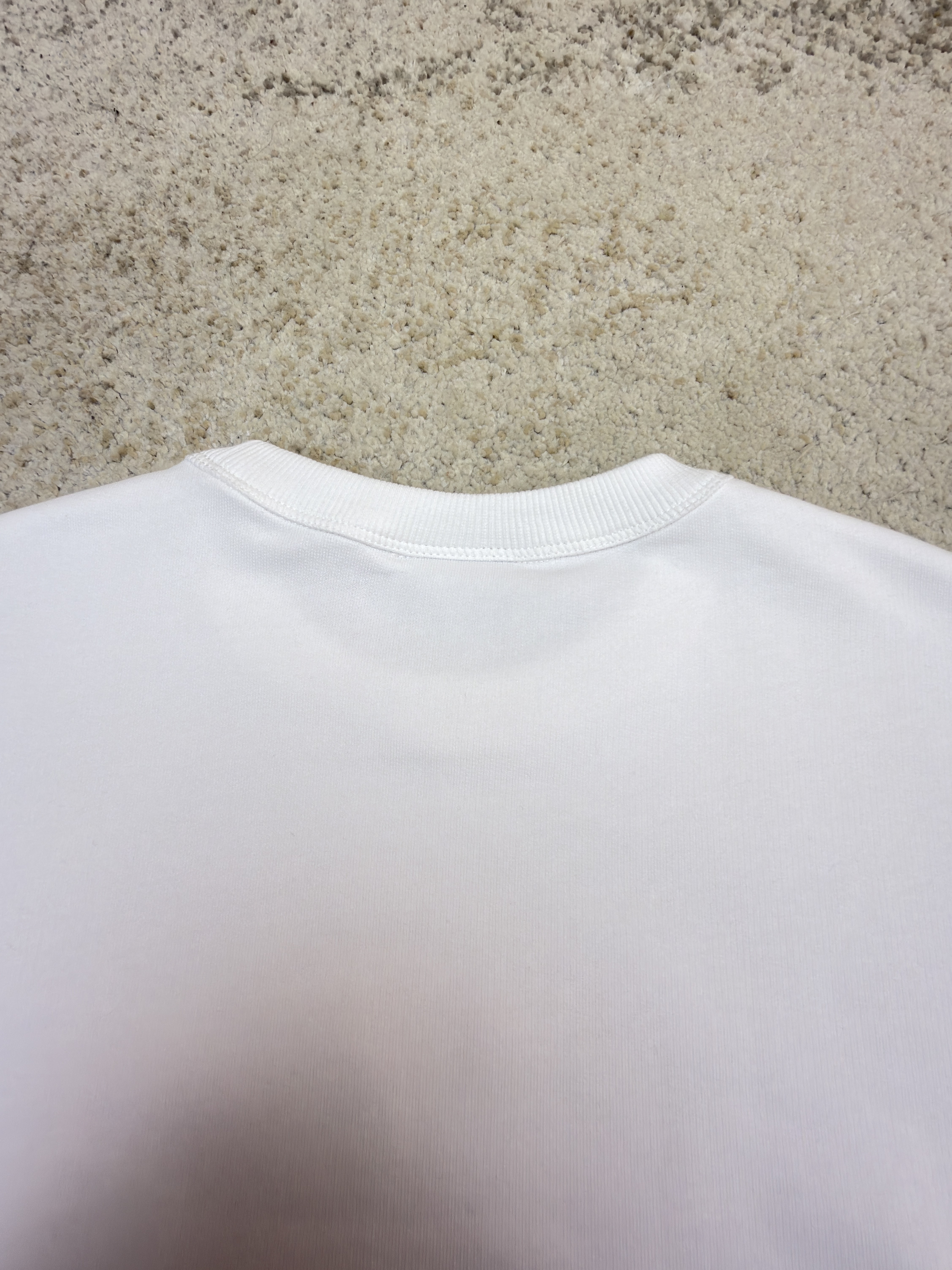DIOR 迪奥 蜂鸟图案套头卫衣 圆领 秋冬 外套 长袖 白色 B0 