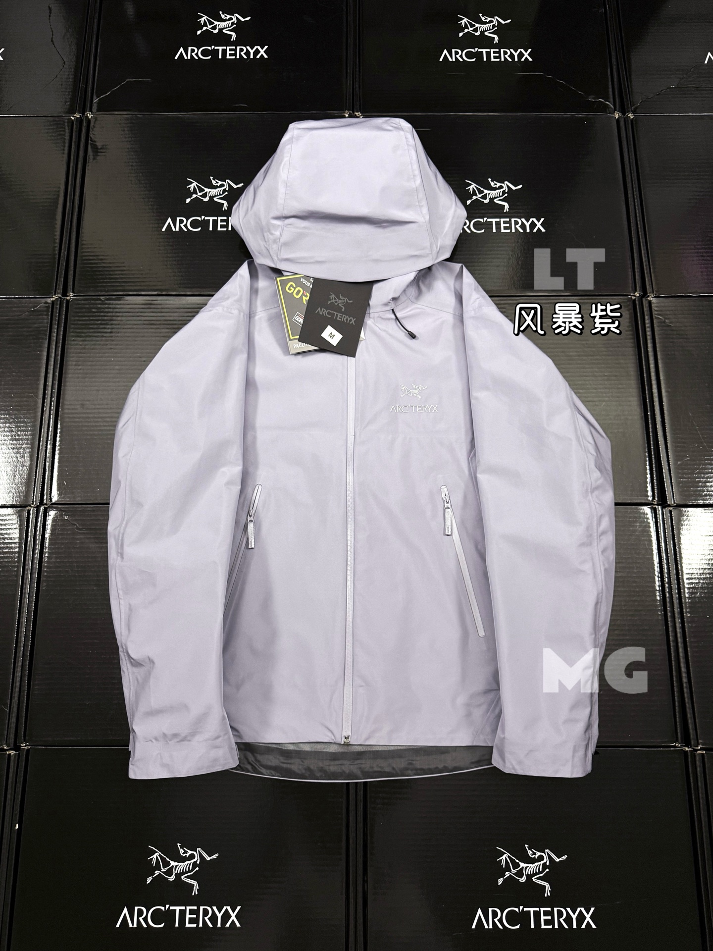 G03台州 Arcteryx 始祖鸟 BETA LT 硬壳 连帽 冲锋衣 长袖 男款 香芋粉 B0-26844