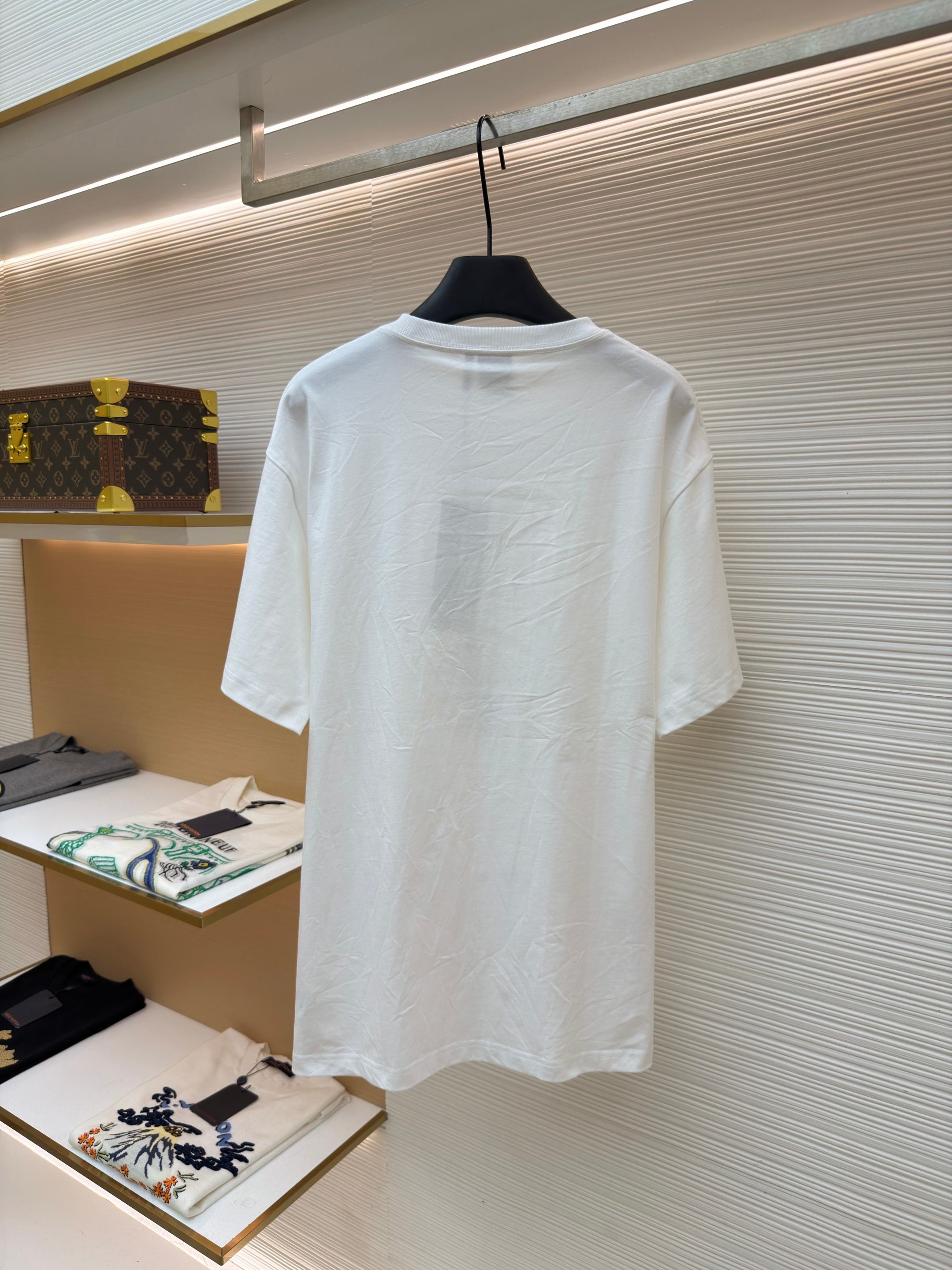 DIOR 迪奥 胸前小字母绣圆领短袖 T恤 夏季 白色 A0 