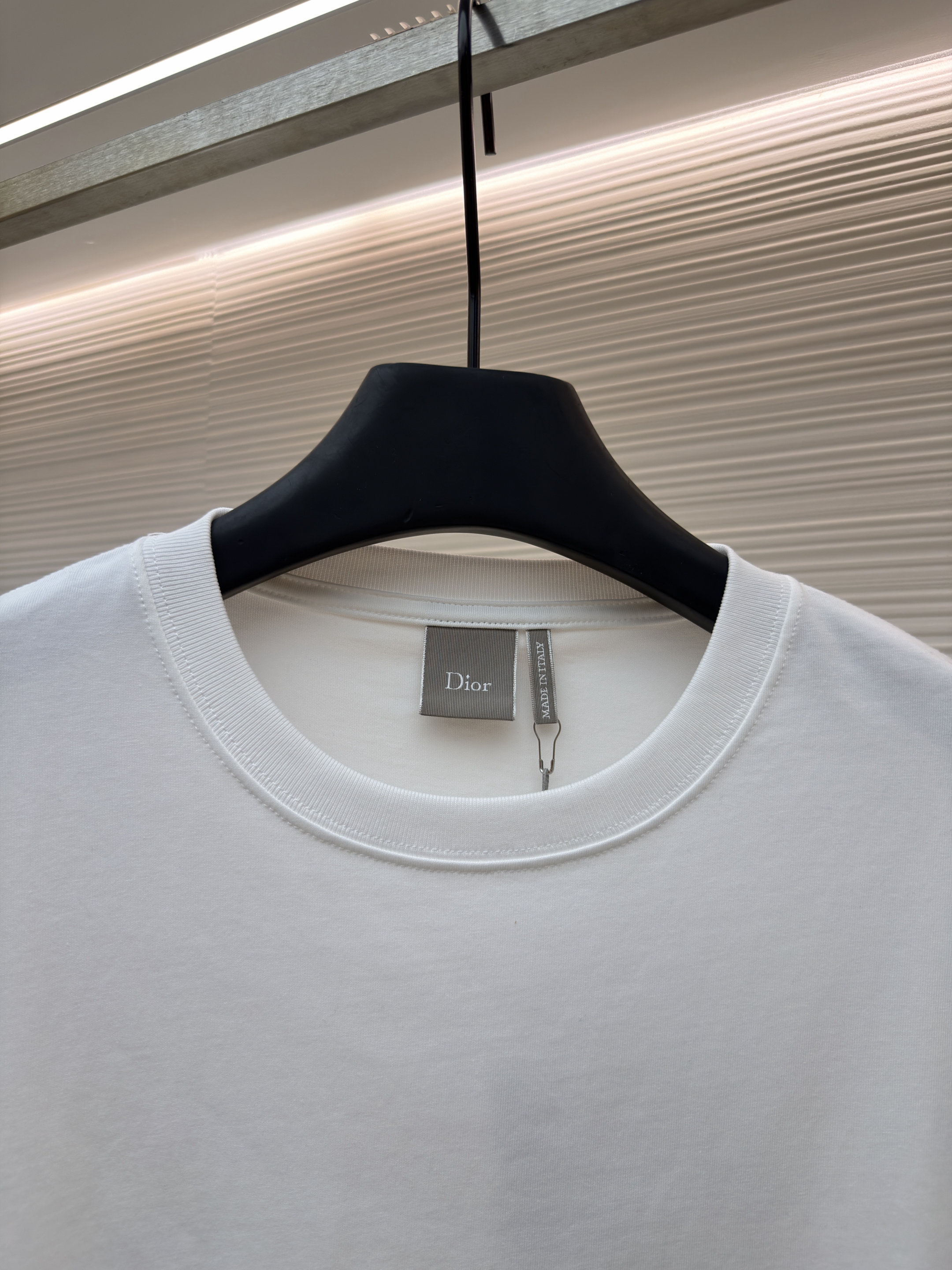 DIOR 迪奥 胸前小字母绣圆领短袖 T恤 夏季 白色 A0 