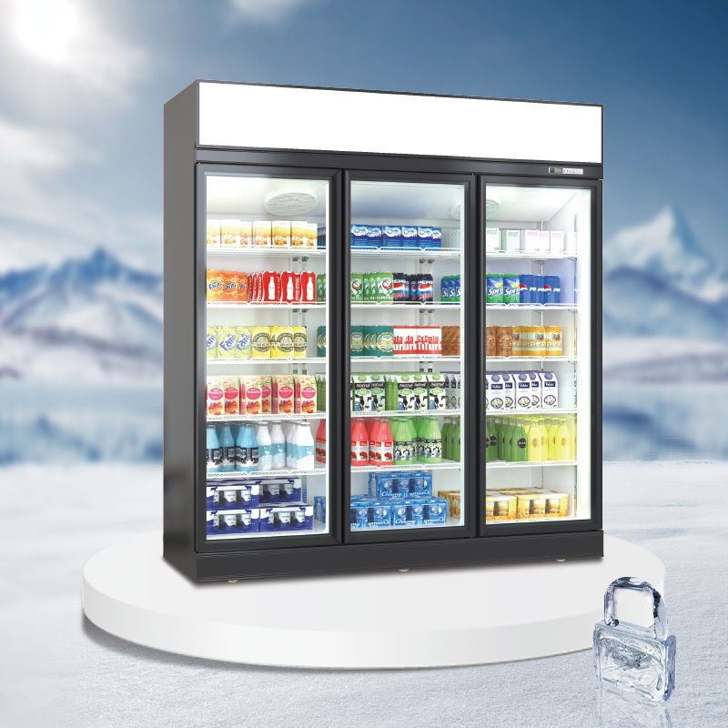 Eco canopy upright display cooler - AGR-ET