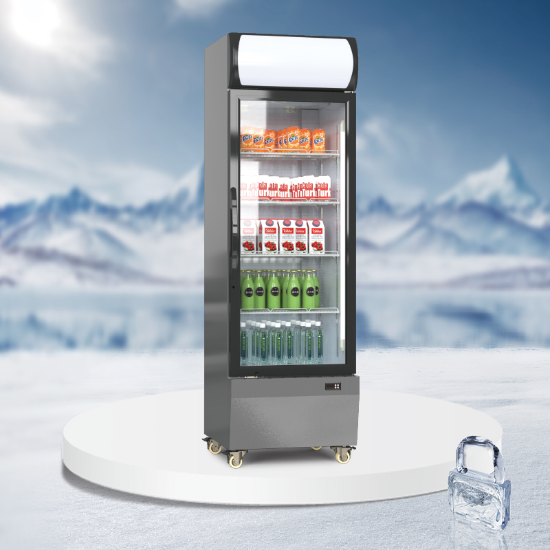 Eco canopy upright display cooler - AGR-EC