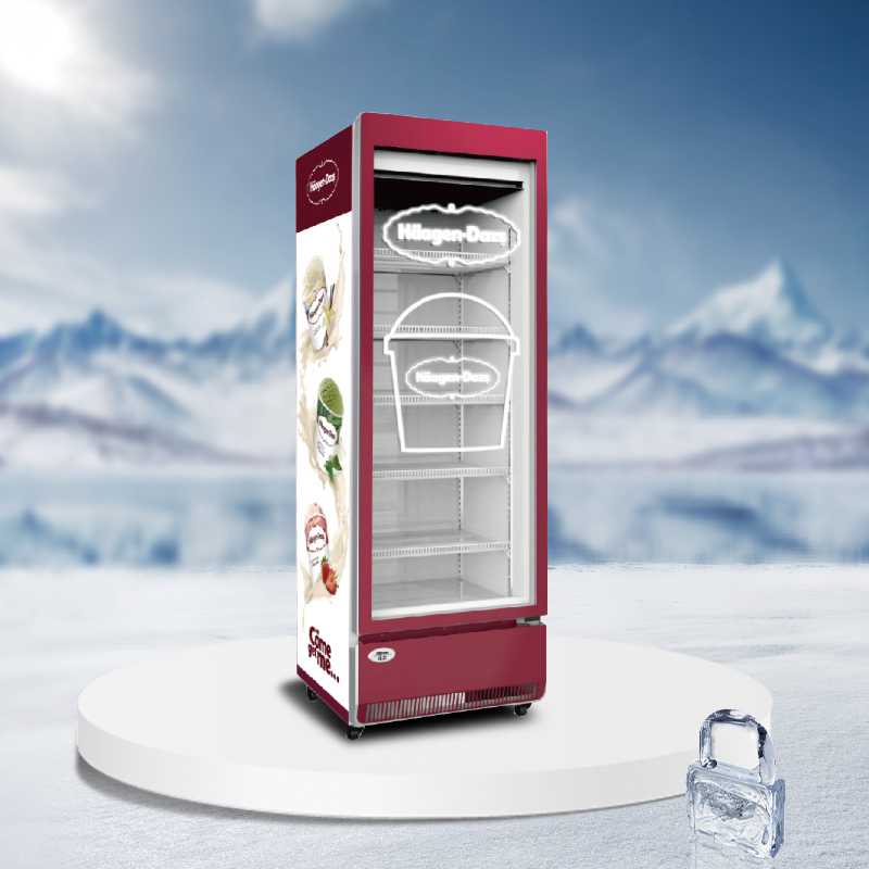 Glass door upright display freezer - AHD-300