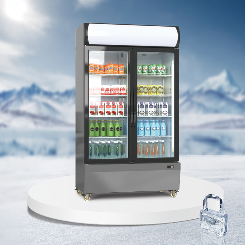 Eco canopy upright display cooler - AGR-EC