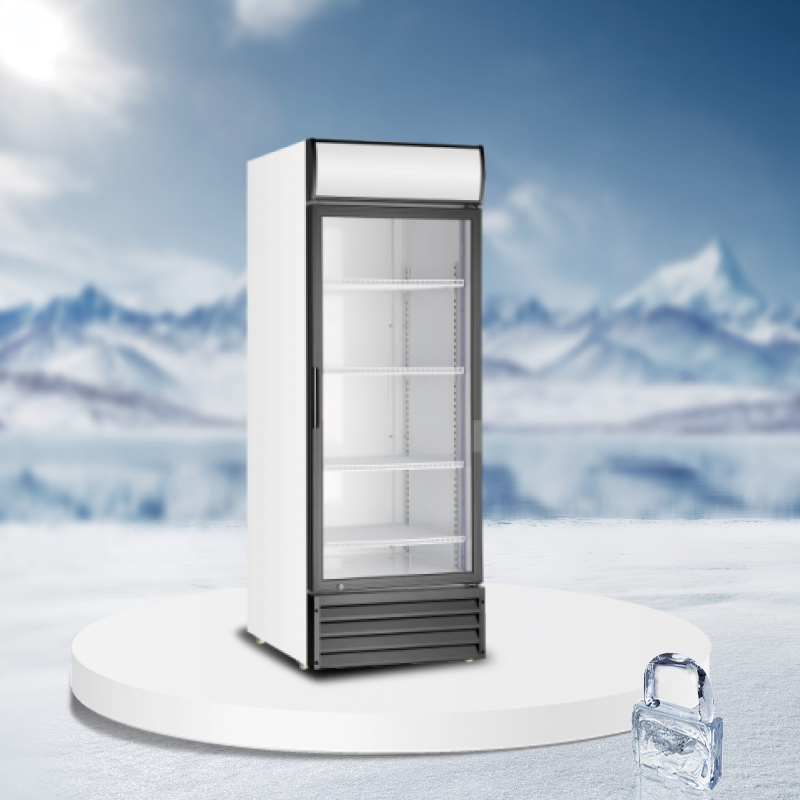 Glass door Upright Display Cooler - AS-500/600-FMA