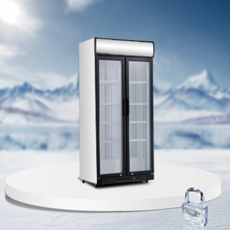Glass door Upright Display Cooler - AS-590-FA1