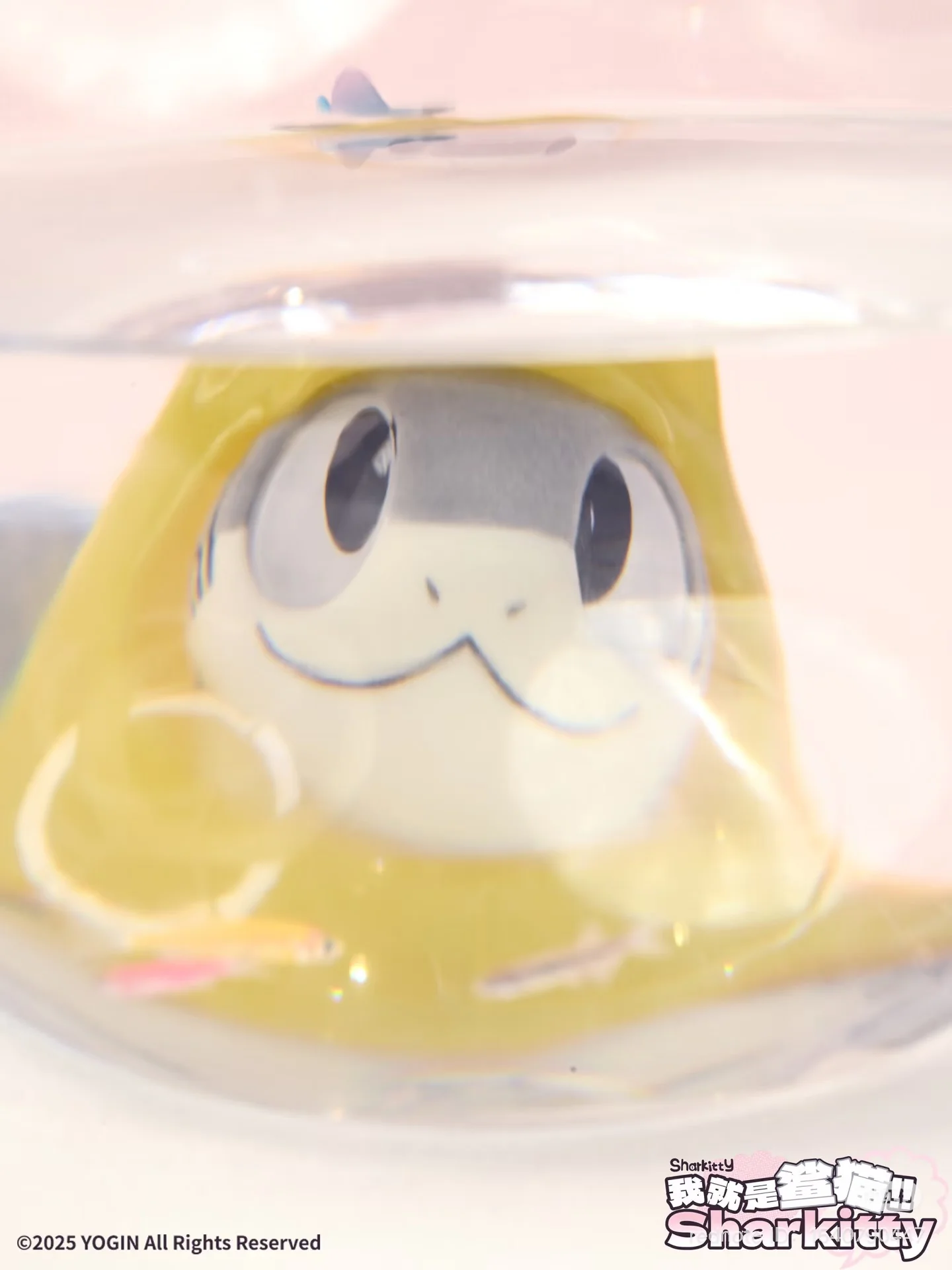 Sharkitty Blind Box Series