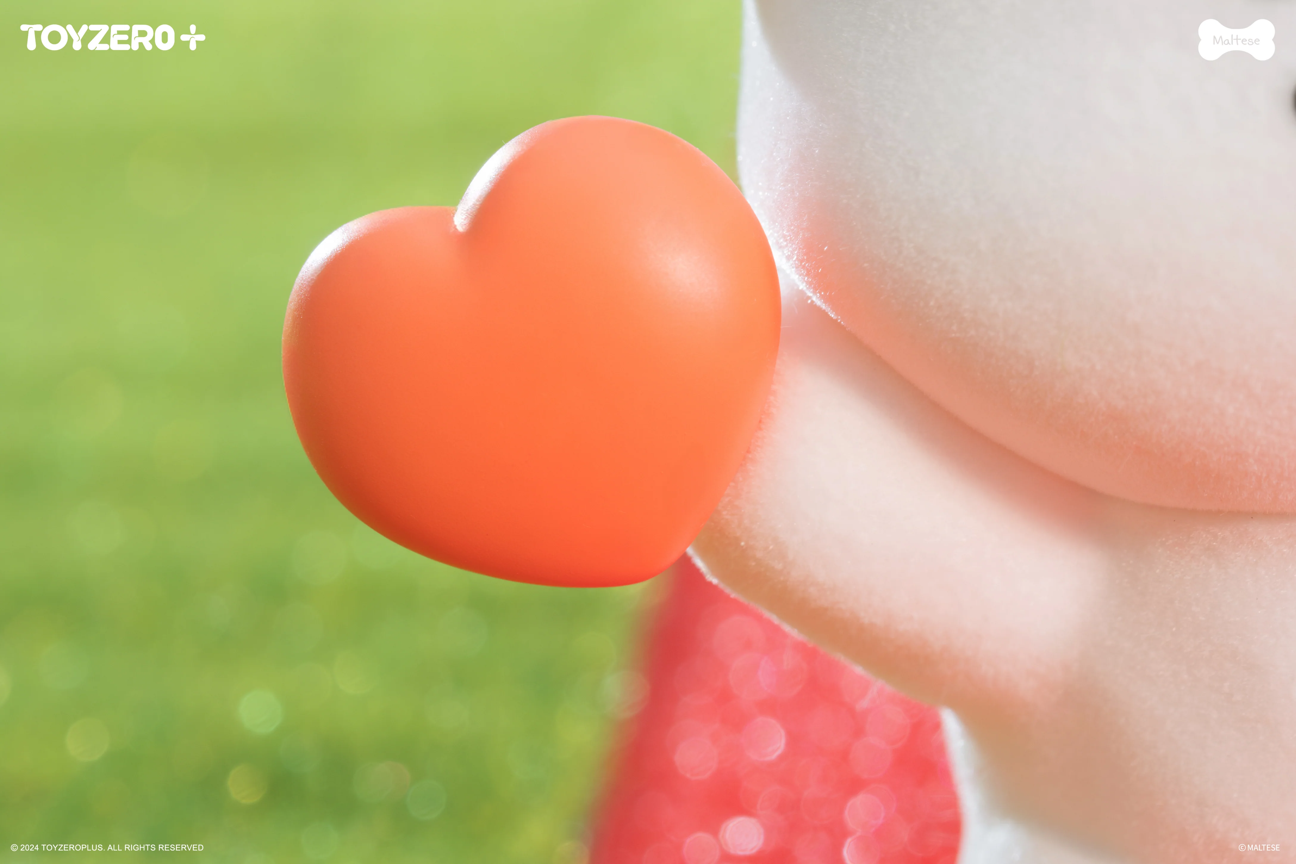 Maltese - Our World's Best Friends Series