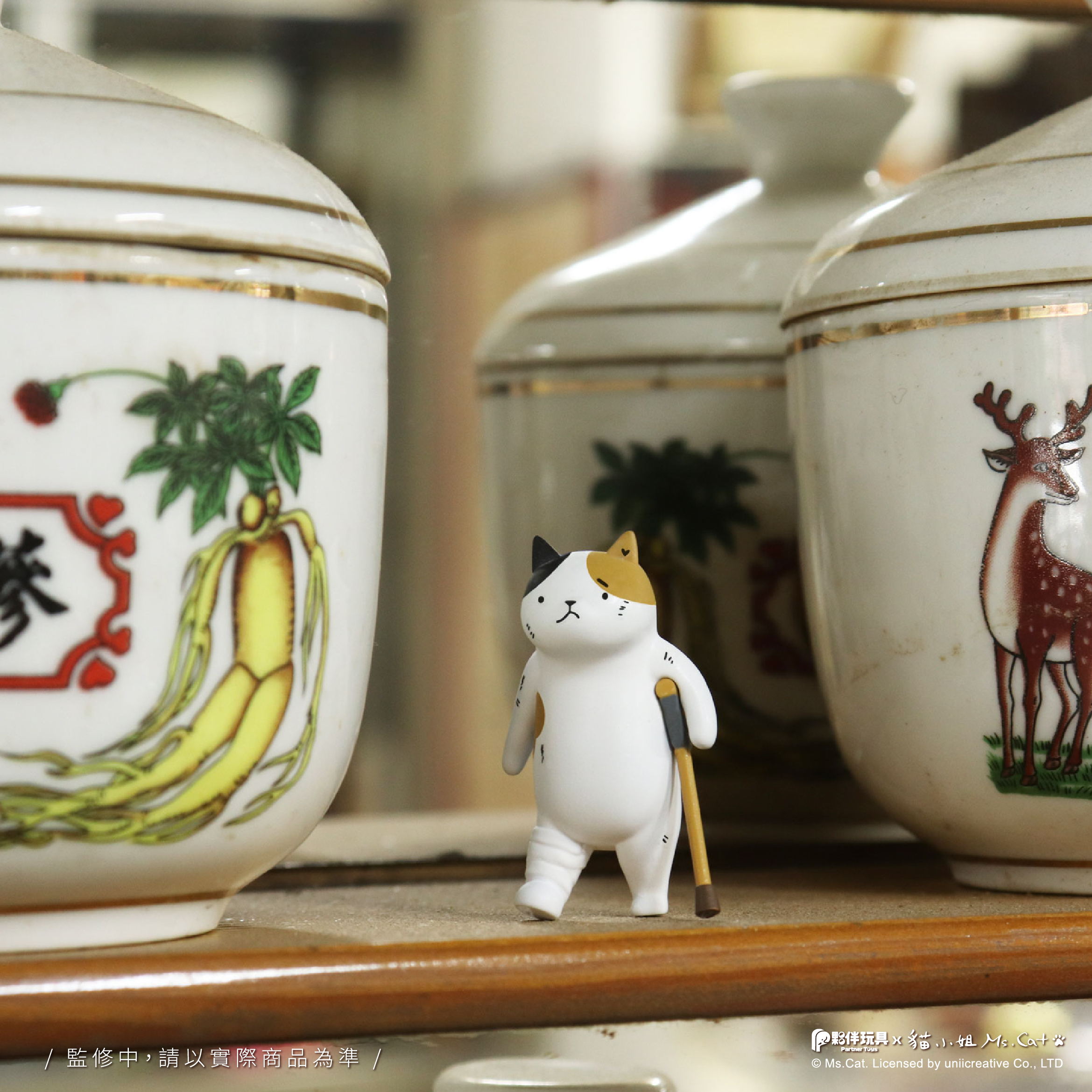 Meow Meow Calling Martial Arts School