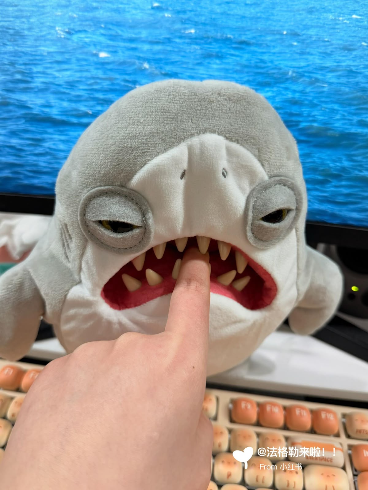 FUGGLER JAWS