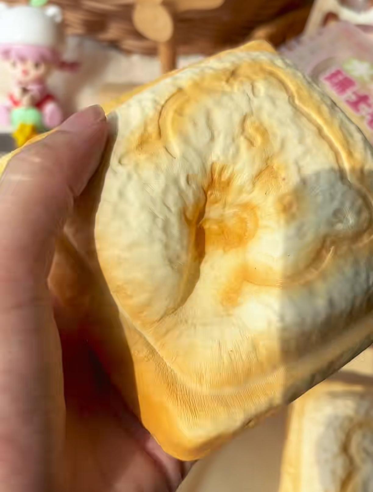 Capybara Hot Pressed Toast Squishy