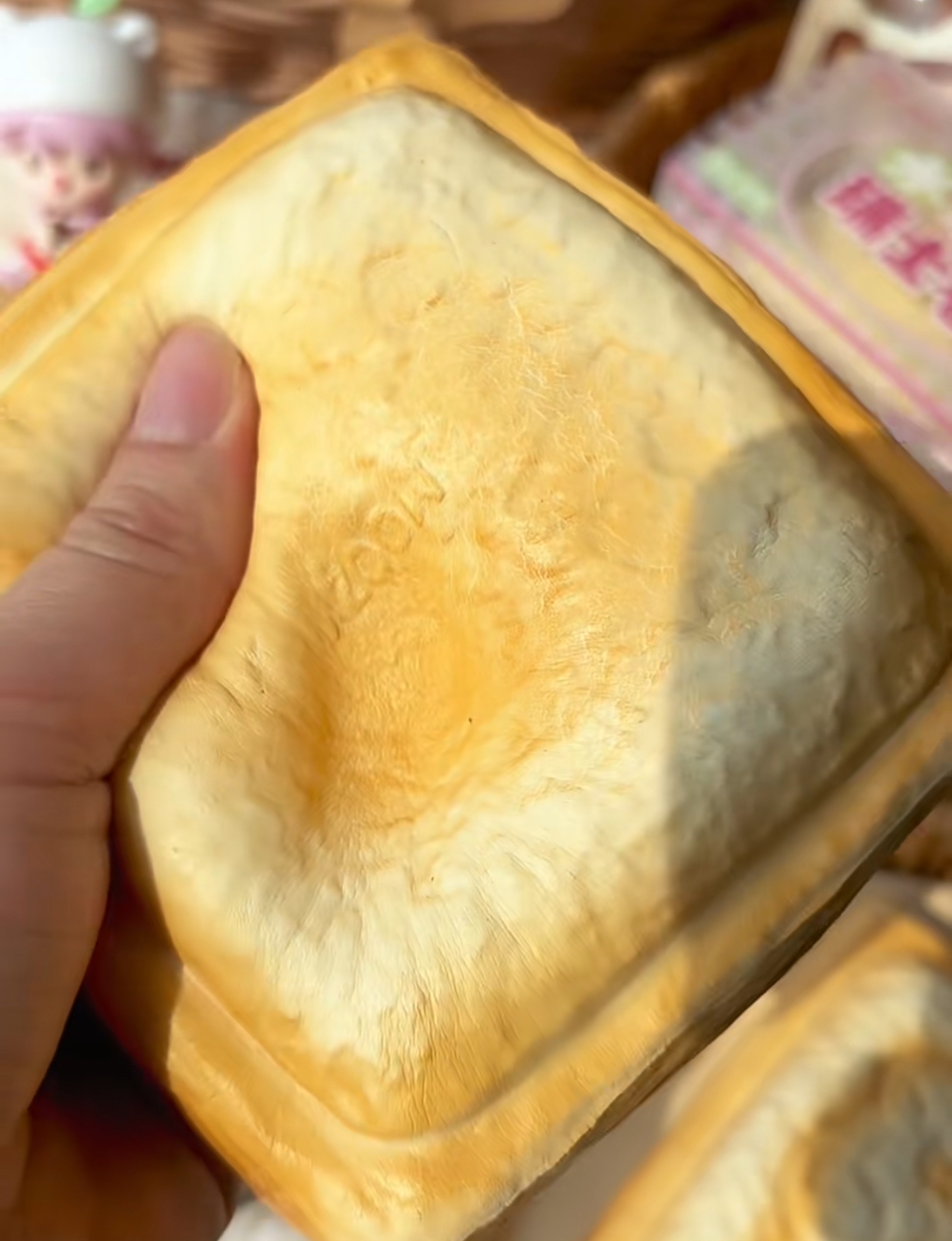 Capybara Hot Pressed Toast Squishy