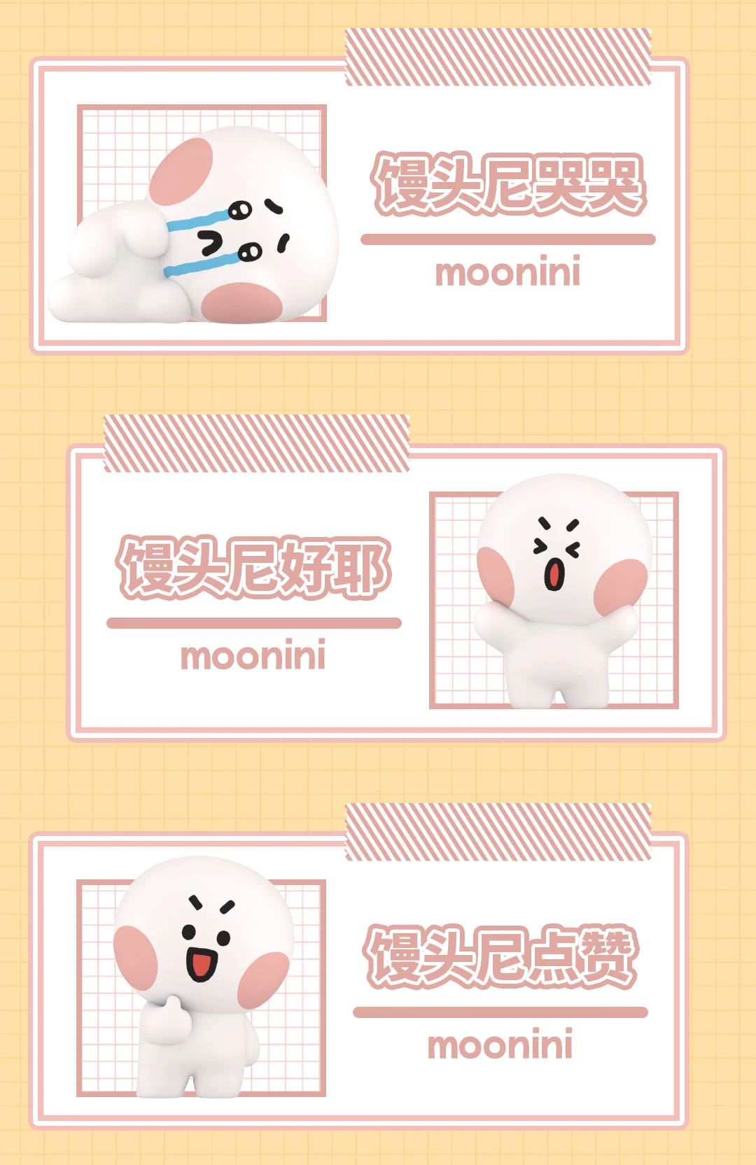MININI OBSERVATION DIARY SERIES