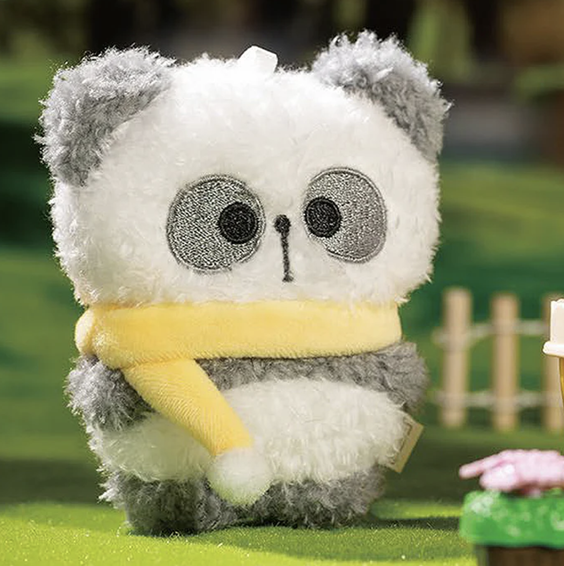 MR. PA Fortune Favors You