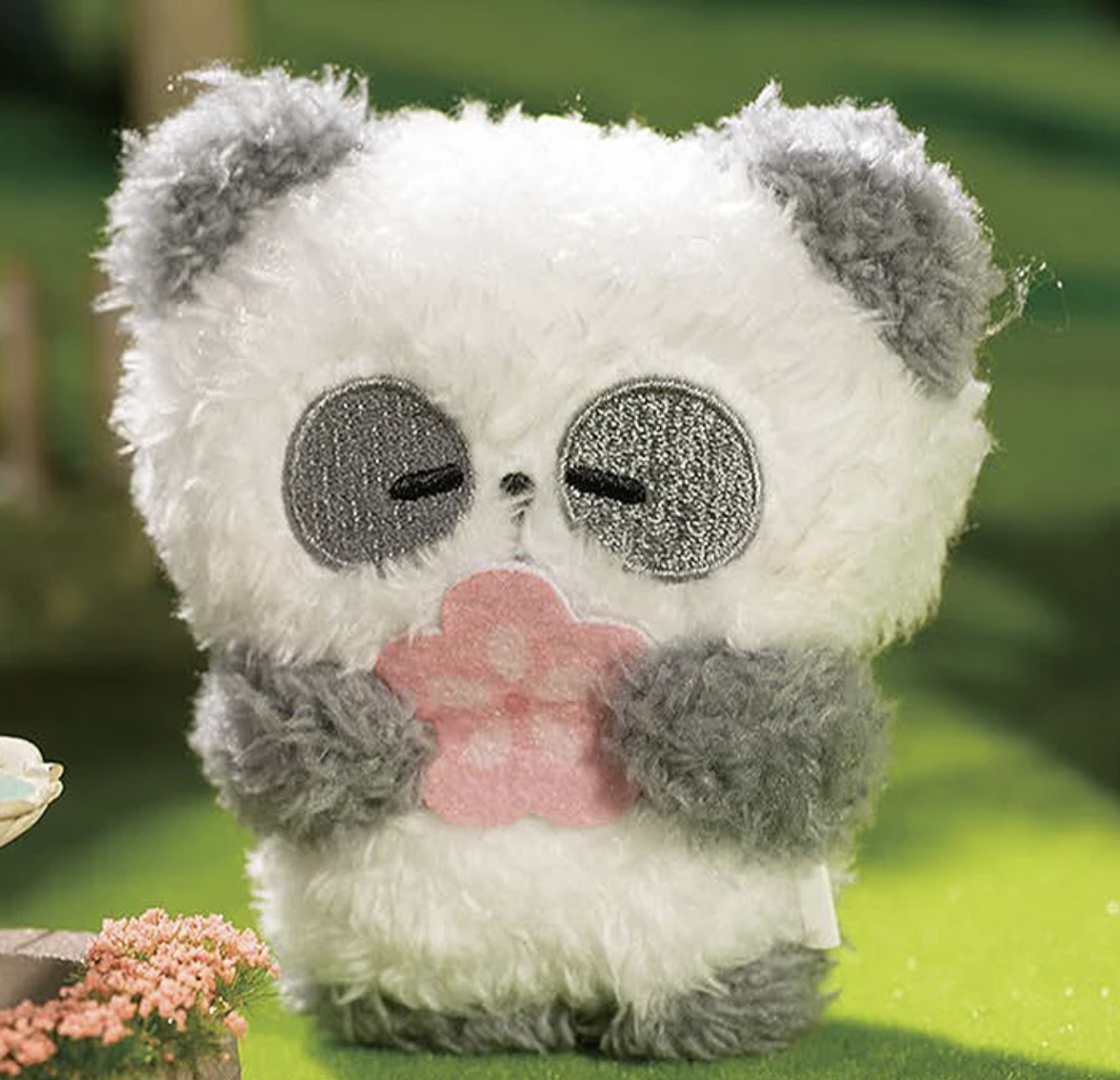 MR. PA Fortune Favors You