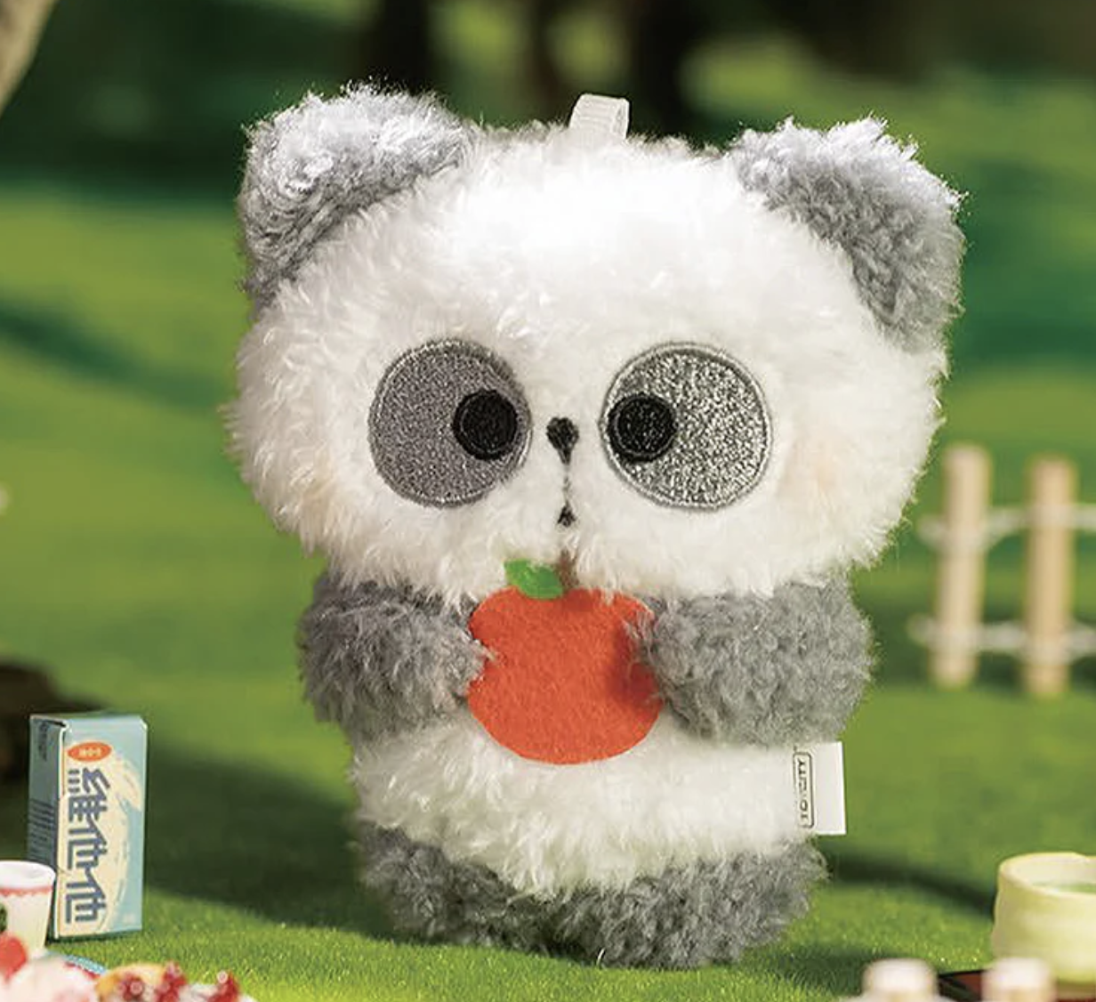 MR. PA Fortune Favors You