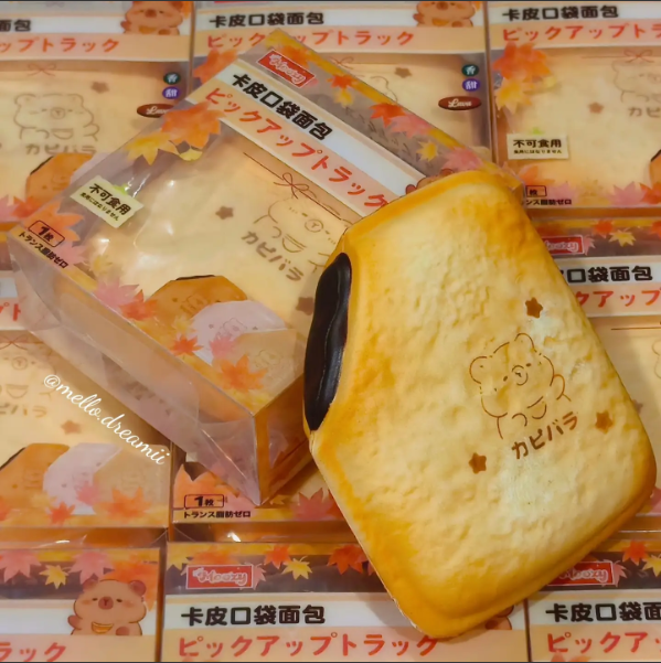 Moozy Capybara Pocket Bread Squishy