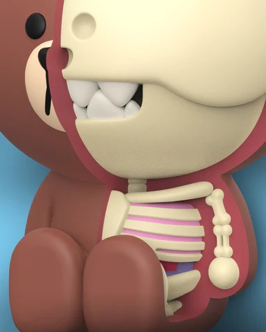 XXRAY PLUS BROWN & SALLY