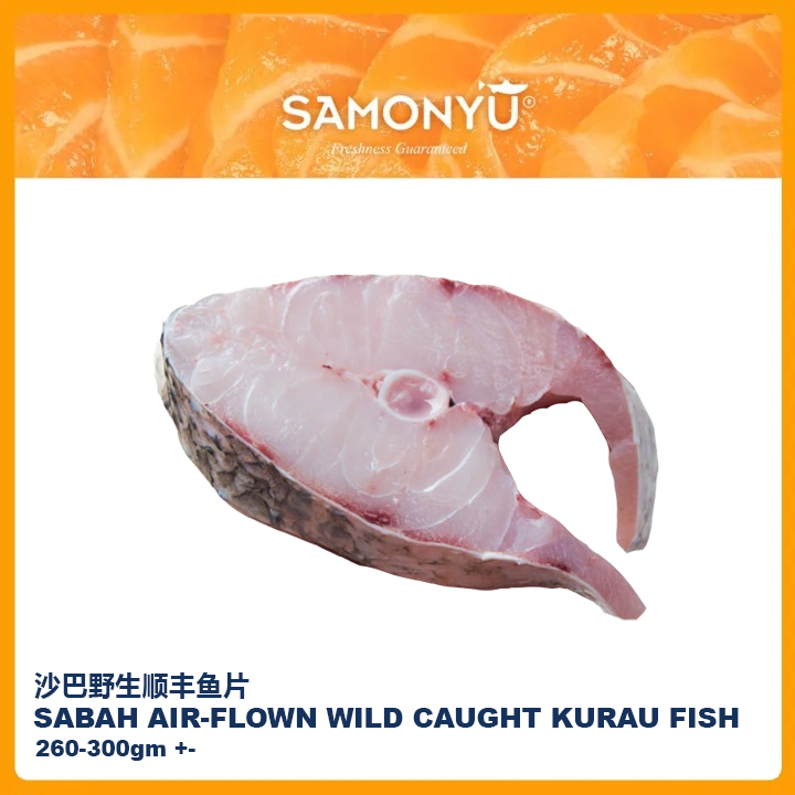 SABAH AIR-FLOWN WILD CAUGHT KURAU FISH 沙巴空运野生顺丰鱼 260-300gm +-
