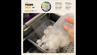 Prawn Meat 31/40 虾仁肉