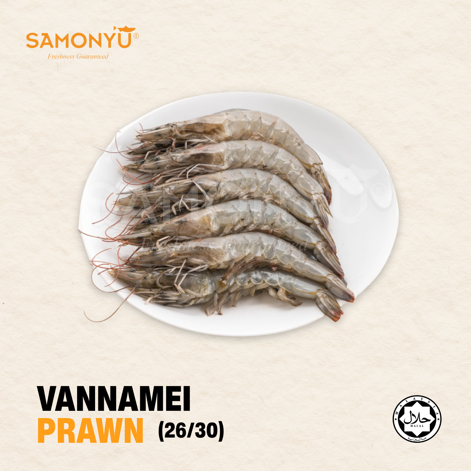 VANNAMEI PRAWN  26/30 白虾