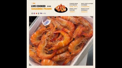 Cooked Prawn Vannamei 31/40 HOSO (700gm/pkt)