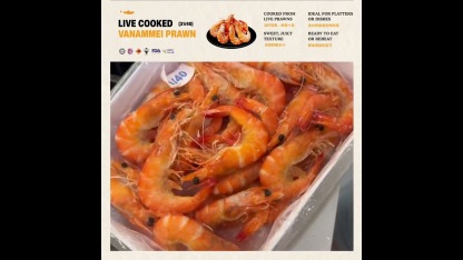 Cooked Prawn Vannamei 31/40 HOSO (700gm/pkt)