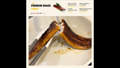 Premium Grade Unagi 高等级鳗鱼