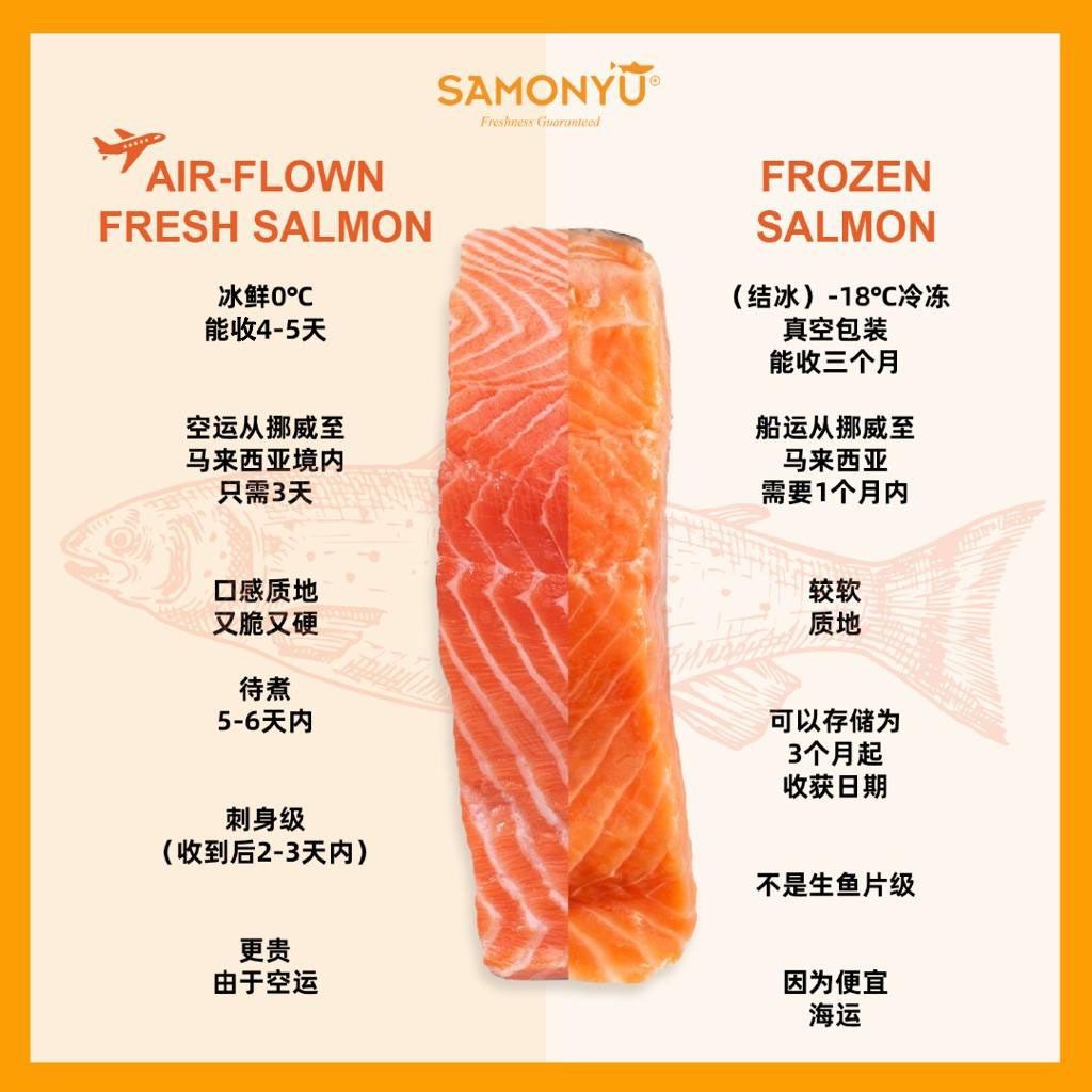 20PCS Frozen Atlantic Salmon 大西洋鲑鱼 (3.6-4kg) 20PCS / SET