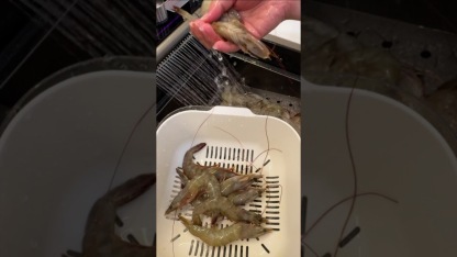 VANNAMEI PRAWN  26/30 白虾
