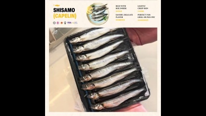 [SAMONYU] Shisamo 多春鱼 