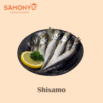 Shisamo 多春鱼