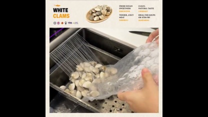 White Clam 白蛤 (1kg ±)