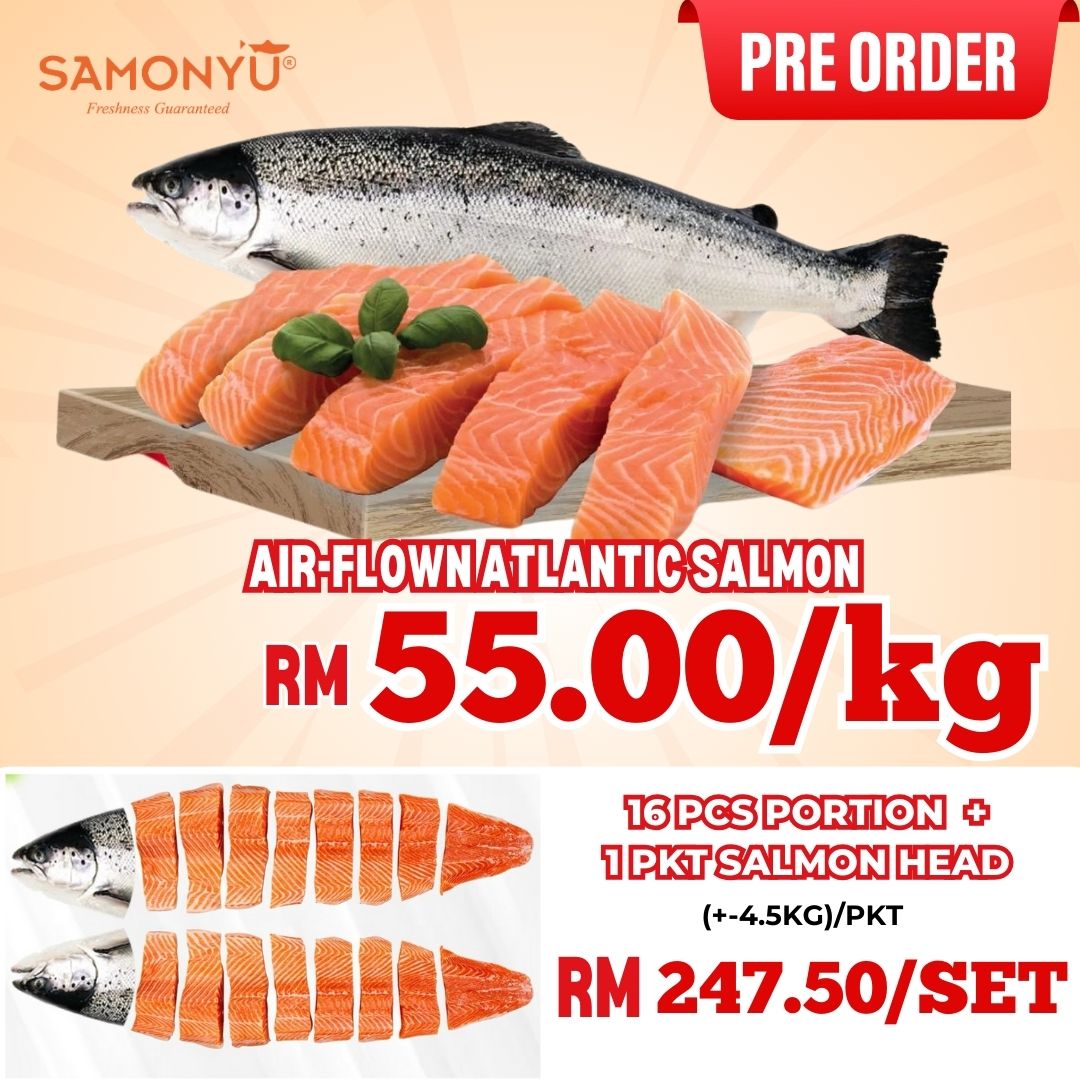 【NORWAY挪威】AIR-FLOWN FRESH ATLANTIC SALMON (WHOLE FISH 16PCS) 新鲜大西洋三文鱼 (+/- 4-5KG) 【PREORDER】