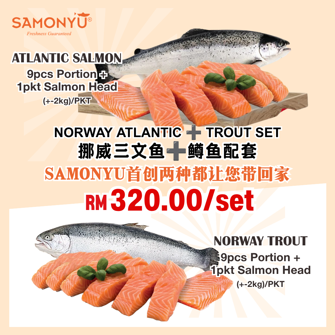 AIR FLOWN ATLANTIC & TROUT  16 Pcs 空运挪威三文鱼组合装  (+-4-5KG) MIX