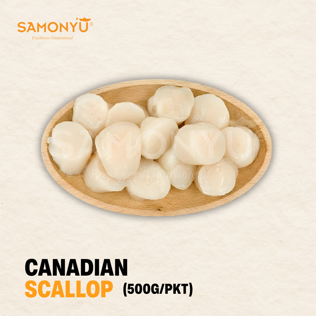 Canada Scallop 加拿大扇贝 (500g ±)