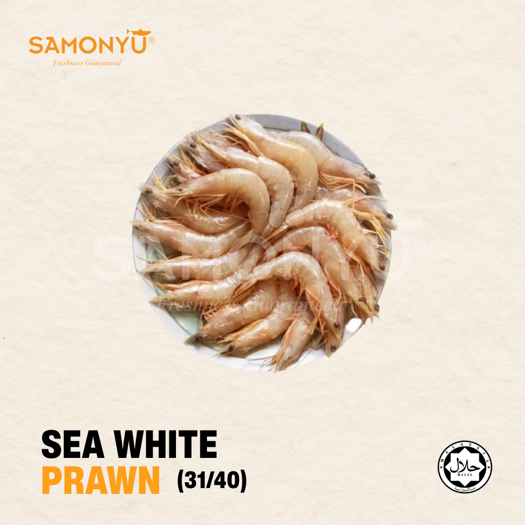SEA WHITE PRAWN 明虾 31/40